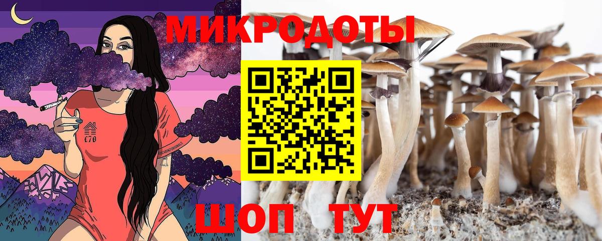 Галлюциногенные грибы Magic Shrooms Лысьва