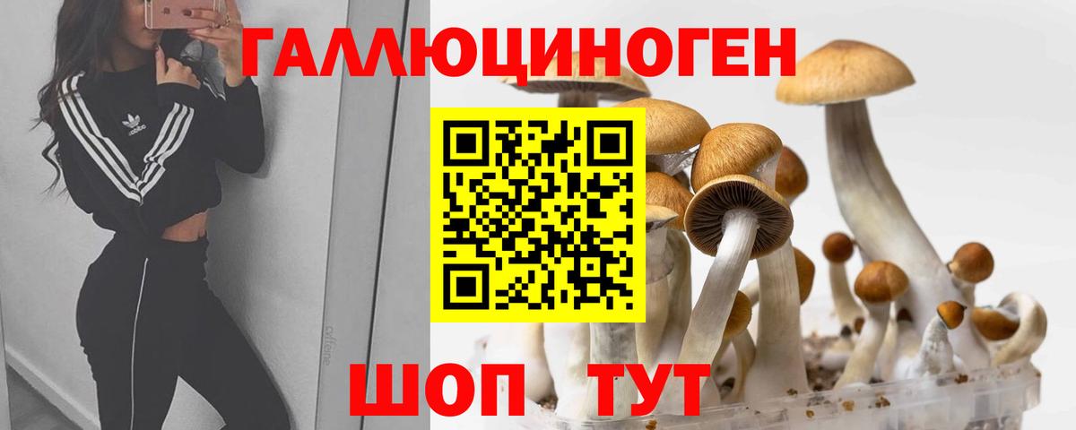Лысьва  Псилоцибиновые грибы Psilocybine cubensis  Галлюциногенные грибы GOLDEN TEACHER  Вход с VPN 
